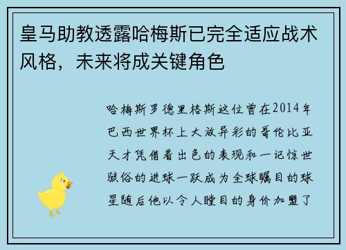 皇马助教透露哈梅斯已完全适应战术风格，未来将成关键角色
