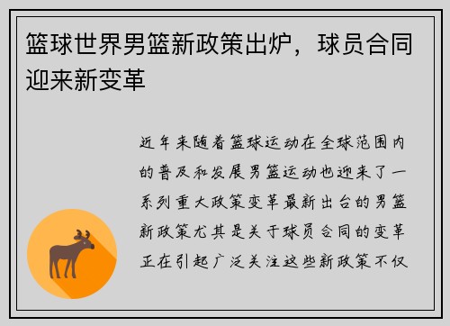 篮球世界男篮新政策出炉，球员合同迎来新变革